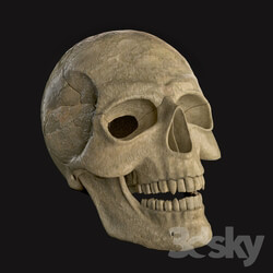 Miscellaneous - Skull 