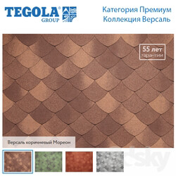 Miscellaneous - Seamless texture of flexible tiles TEGOLA. Premium category. Versailles Collection 