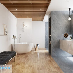 3D66 Toilet & Bathroom Interior 2019 Style (06) 