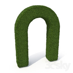 Outdoor - Boxwood Arch 