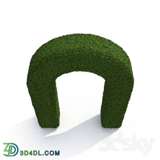 Outdoor - Boxwood Arch