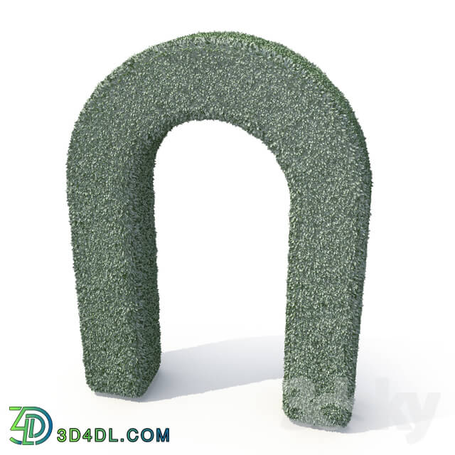 Outdoor - Boxwood Arch