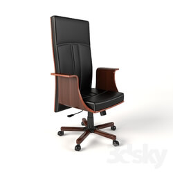 Office furniture - LORD arm chair office 