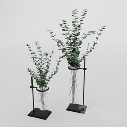Bouquet - Eucalyptus_In_Laboratorium_Jar 