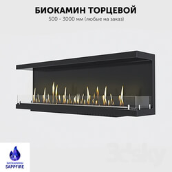 Fireplace - Built-in end biofireplace _ fireplace _SappFire_ 