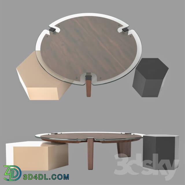 Table - coffee table _ 3