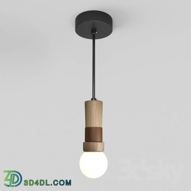 Ceiling light - Sash c