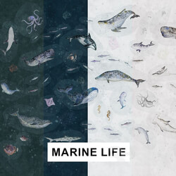 Wall covering - factura _ MARINE LIFE 
