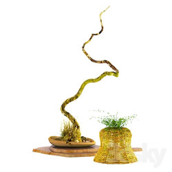 Decorative set - Accessories_ decor_ plants 