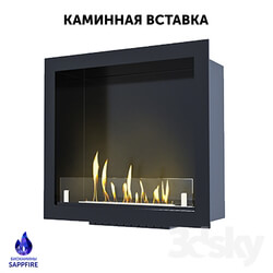 Fireplace - Built-in biofireplace _ fireplace. Fireplace insert _SappFire_ 