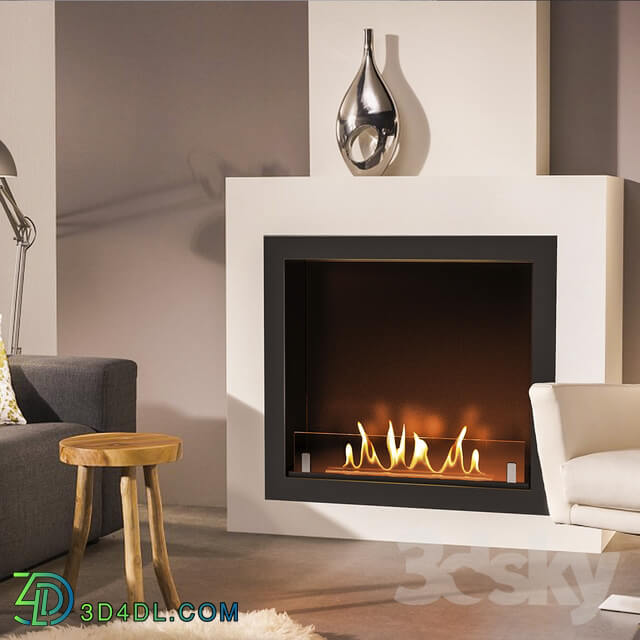 Fireplace - Built-in biofireplace _ fireplace. Fireplace insert _SappFire_