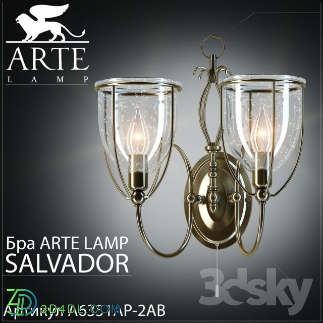 Wall light - Sconce Arte Lamp Salvador A6351AP-2AB