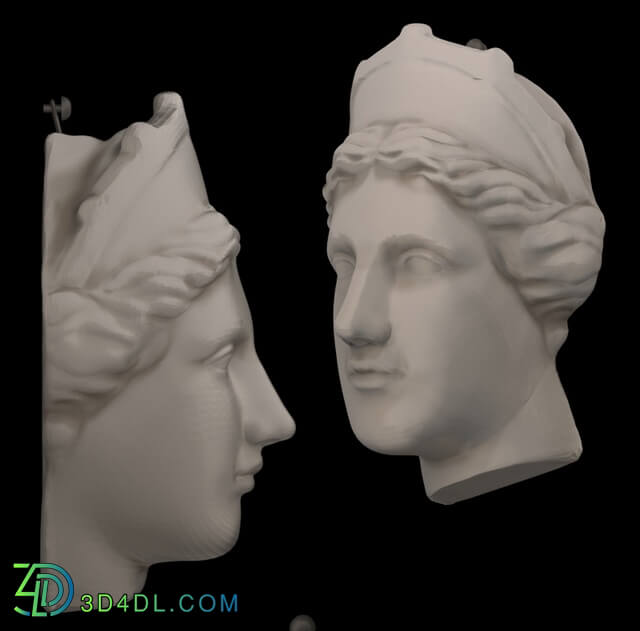 Sculpture - Plaster Head Venus Capua