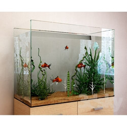 Other decorative objects - Aquarium 