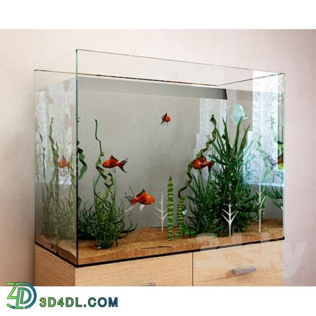 Other decorative objects - Aquarium