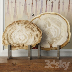 Other decorative objects - White Petrified Wood Slices 