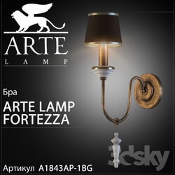 Wall light - Sconce Arte lamp Fortezza A1843AP-1BG 