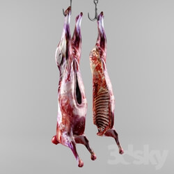 Miscellaneous - the carcass of an animal 