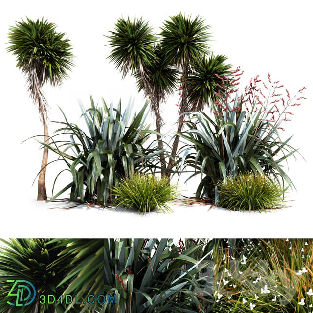 Outdoor - Oceania plant set