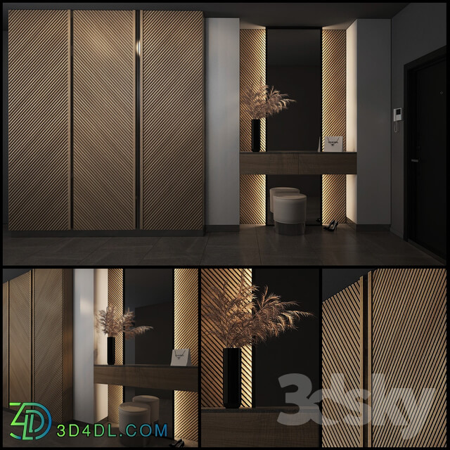 Wardrobe _ Display cabinets - Composition in the hallway_54