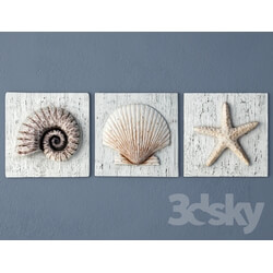 Other decorative objects - Nautilus_ Seashell_ Starfish Plaques 