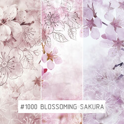 Wall covering - Creativille _ Wallpapers _ Blossoming sakura 1000 