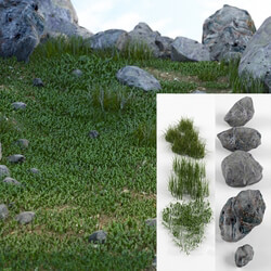 Other architectural elements - Grass and stones SRG 