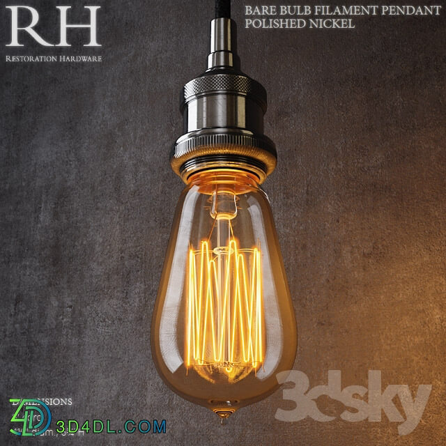 Ceiling light - RH Bare Bulb Filament Pendant Polished Nickel