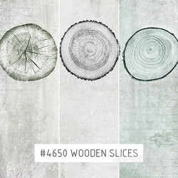 Wall covering - Creativille _ Wallpapers _ Wooden slices 4650 