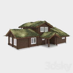 House with a green roof 