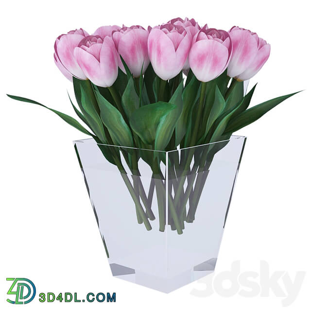 Bouquet - Bouquet of tulips