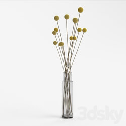 Bouquet - Dry reed 