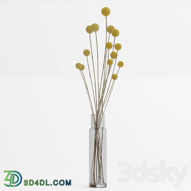 Bouquet - Dry reed