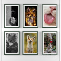 Frame - frame set_animal01 