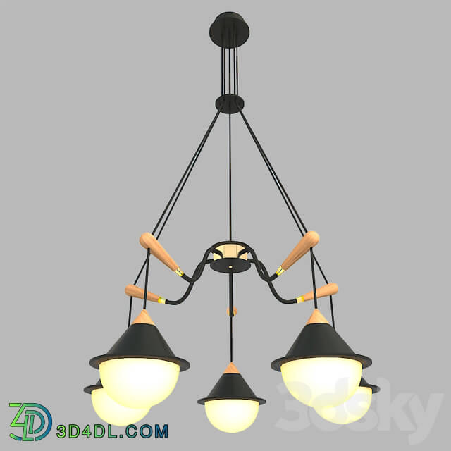 Ceiling light - chandelier pendant light