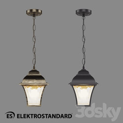 Street lighting - OM Street pendant lamp Elektrostandard GL 1009H Apus H 