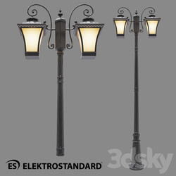 Street lighting - OM Street double-arm lamp on a pole Elektrostandard GLXT-1408F _ 2 Libra F _ 2 