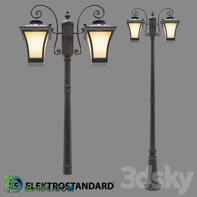 Street lighting - OM Street double-arm lamp on a pole Elektrostandard GLXT-1408F _ 2 Libra F _ 2