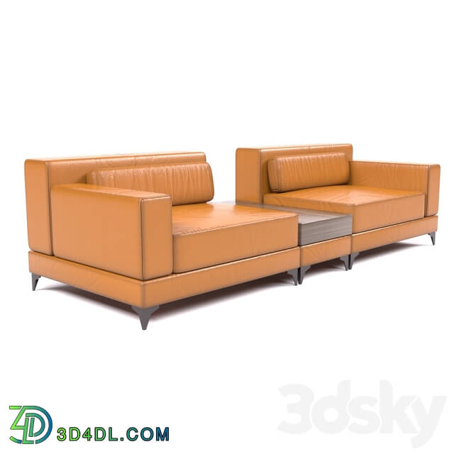 Sofa - Leather Sofa and tea table