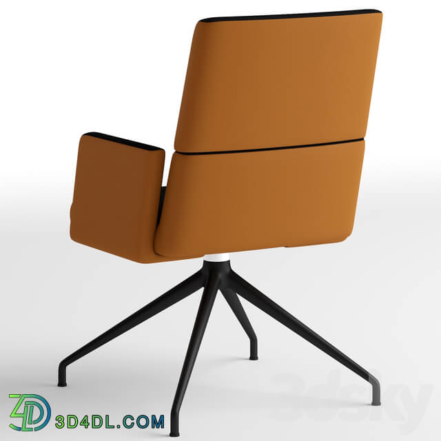 Chair - de Sede DS-414 swivel chair