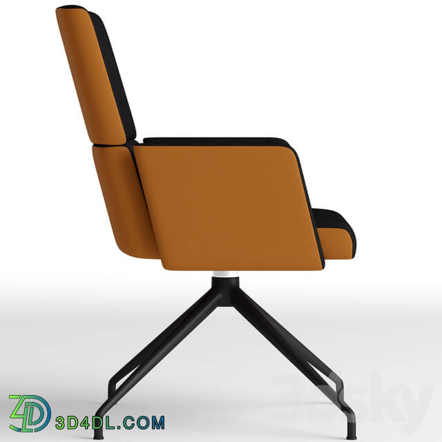 Chair - de Sede DS-414 swivel chair