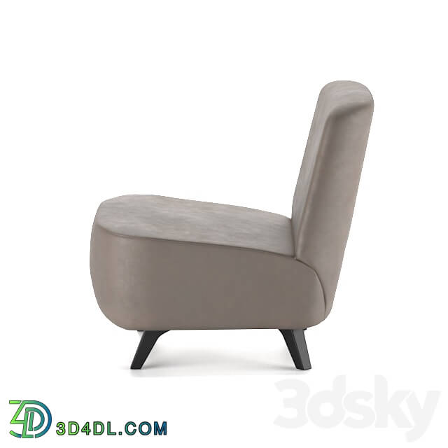Arm chair - Leather chair