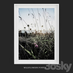 Frame - Wildflowers_Poster 