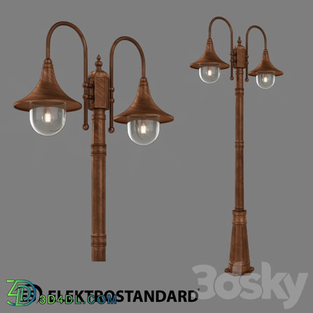 Street lighting - OM Street double-arm lamp on a pole Elektrostandard GL 1020F _ 2 Saga F _ 2