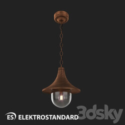 Street lighting - OM Street pendant lamp Elektrostandard GL 1020H Saga H 