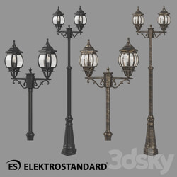 Street lighting - OM Street double-arm lamp on a pole Elektrostandard NLG99HL004 