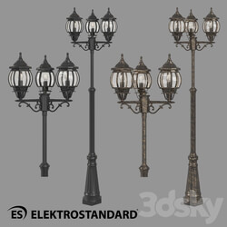 Street lighting - OM Street three-arm lamp on a pole Elektrostandard NLG99HL005 
