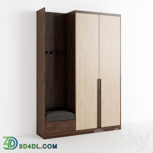 Wardrobe _ Display cabinets - Wardrobe in the hallway