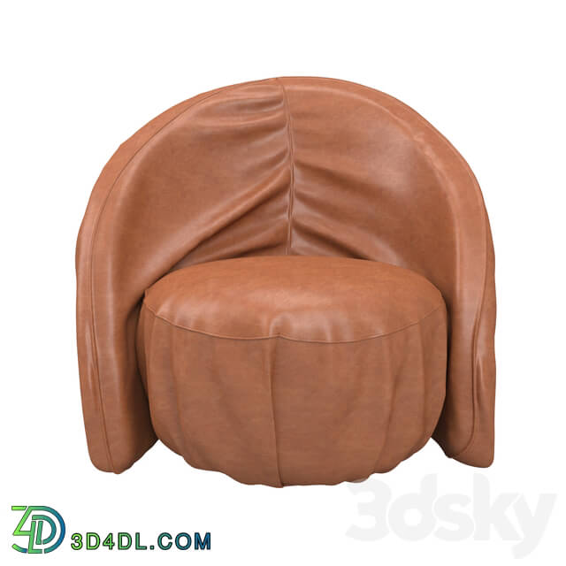 Arm chair - Arm chair