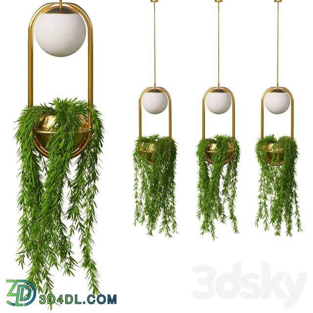 Indoor - Plant pendant